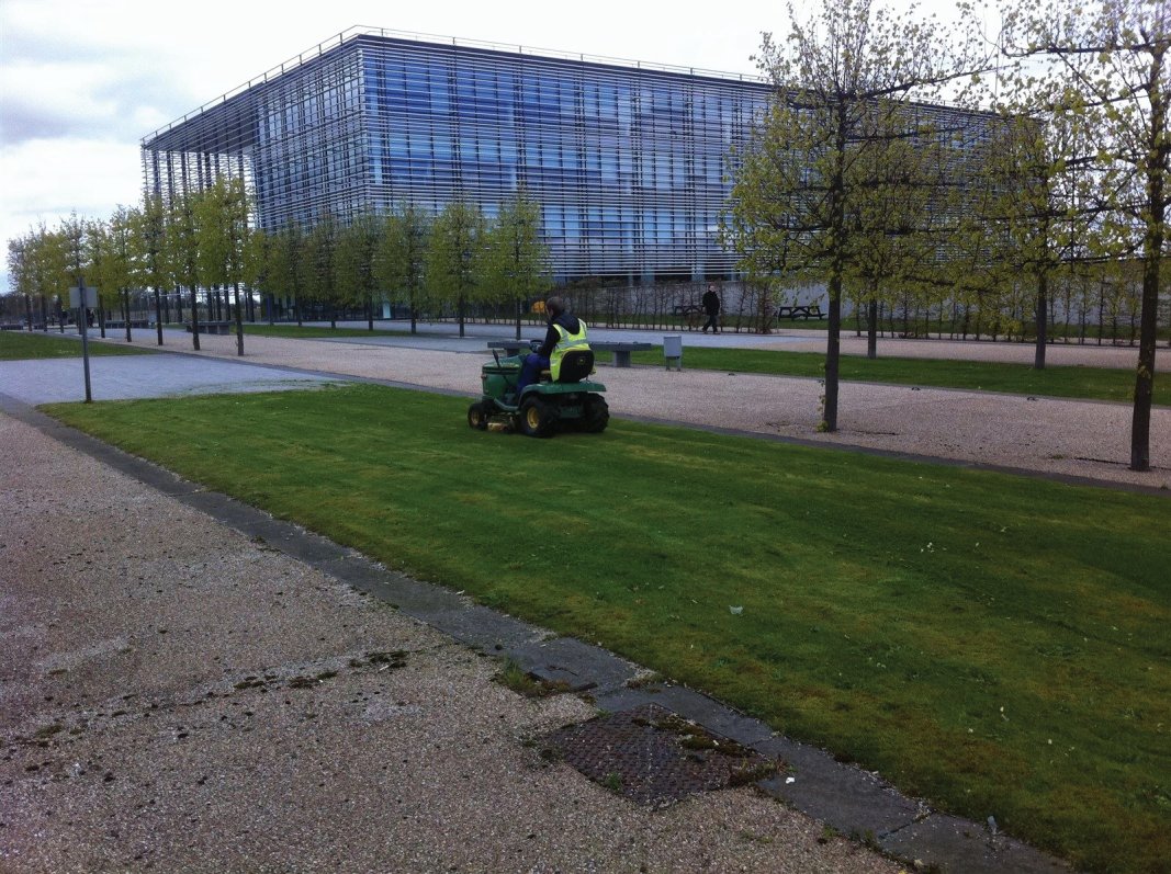 Office grounds and gardens maintenance in Edinburgh, Midlothian, East Lothian, Fife and the Scottish Borders regions