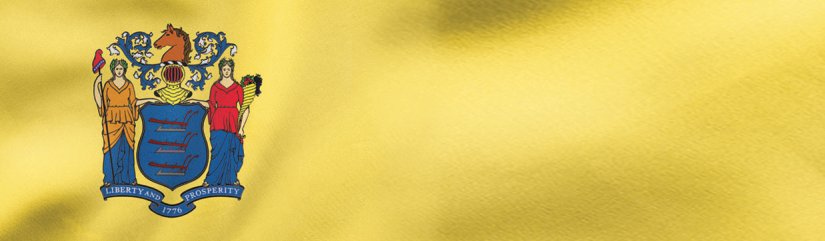 New Jersey State Flag