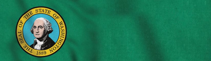 Washington State Flag