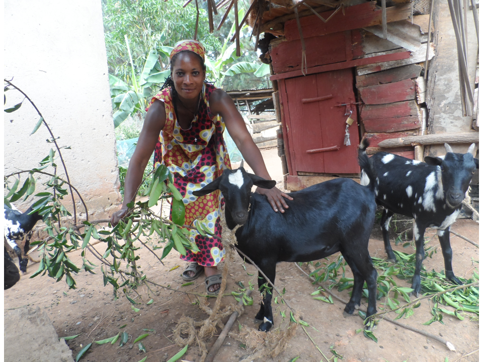 Sapna Choudhary Fucking Image In - Life-changing Livestock