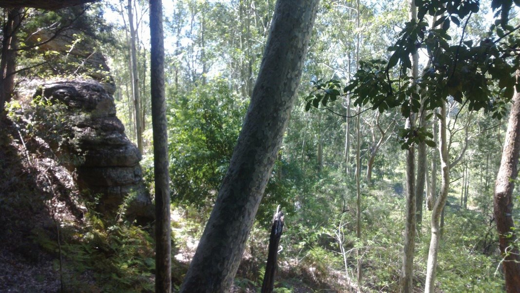 Nowra - 10 minutes from the CBD and a thousand miles from traffic