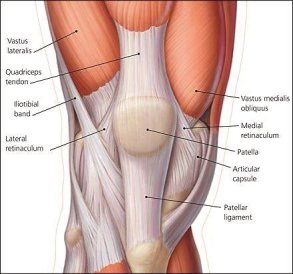 Stretch Therapy for Knee Pain