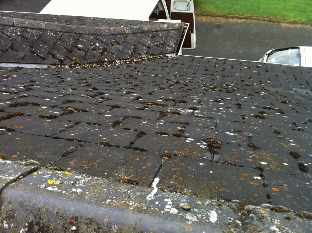 Remove unsightly growths safely with damage to the roof materials.