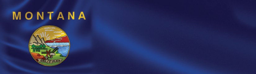 Montana State Flag