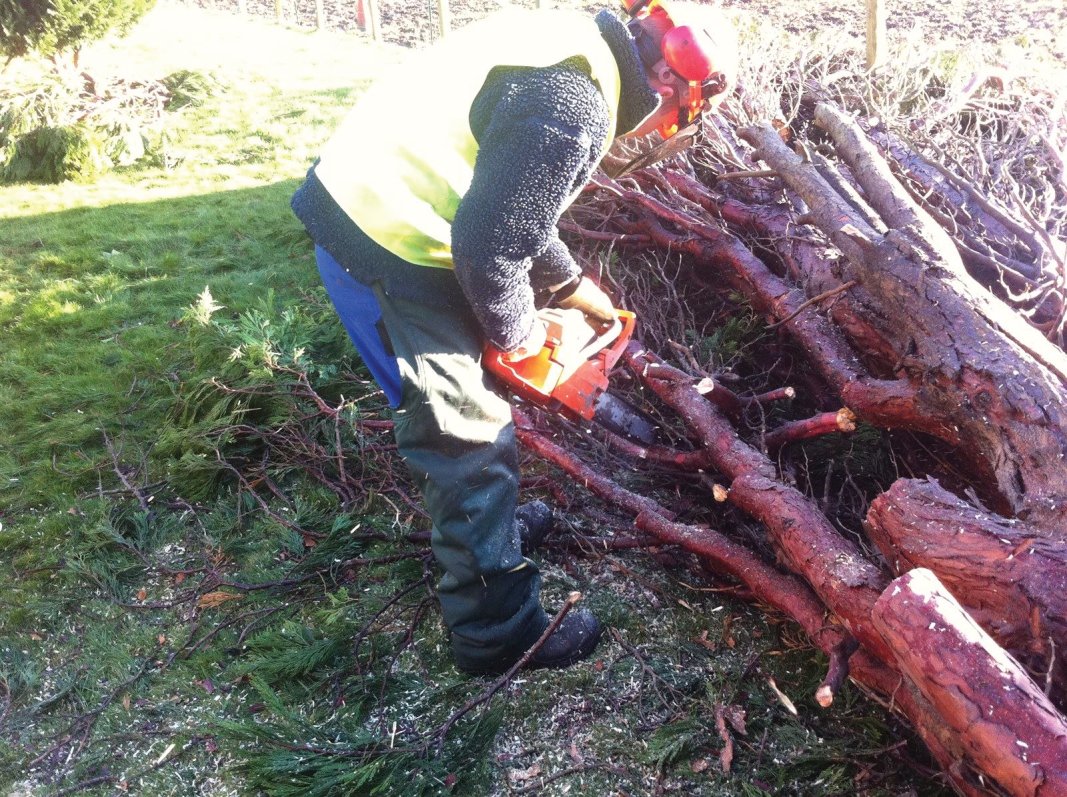 Storm felled tree removal in Midlothian, East Lothian, Fife and the Scottish Borders regions