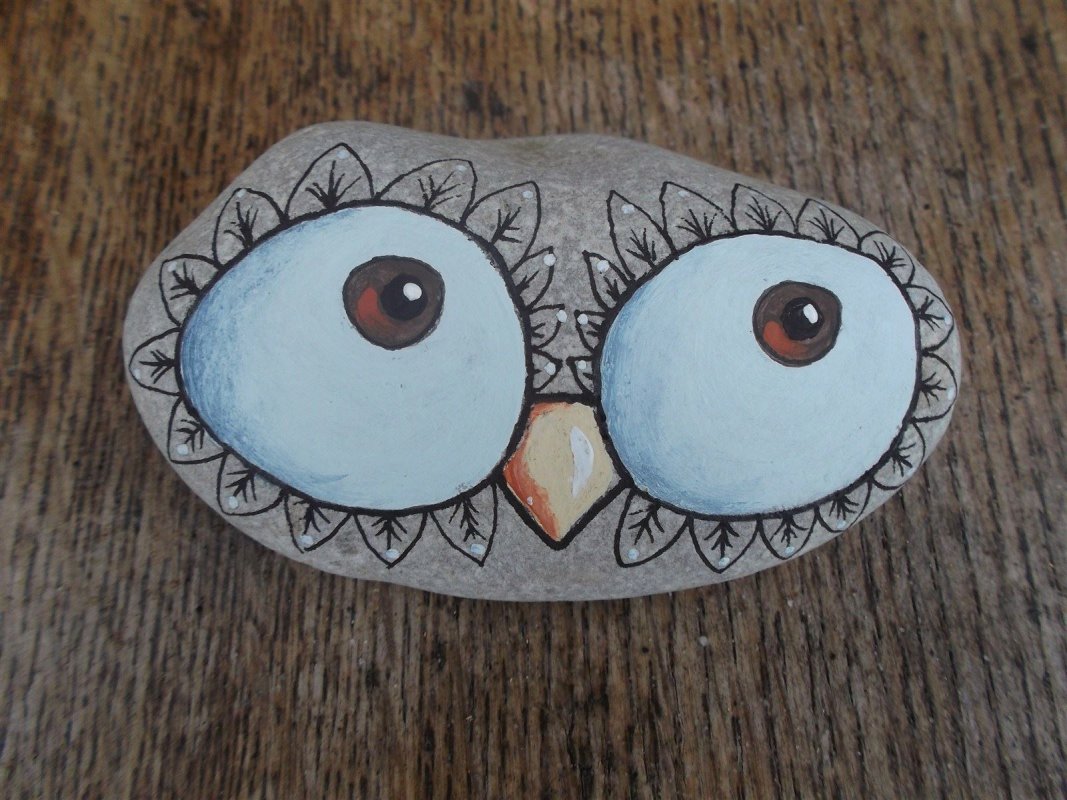 big owl eyes