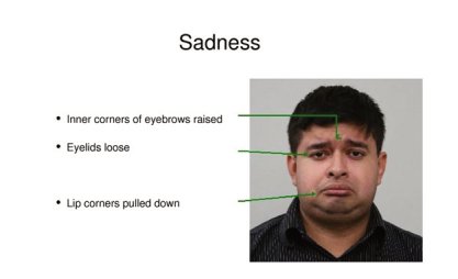 Humintell’s emotion recognition training features images of individuals portraying the 7 basic emotions: Anger, Contempt, Fear, Disgust, Happiness, Sadness and Surprise. 
