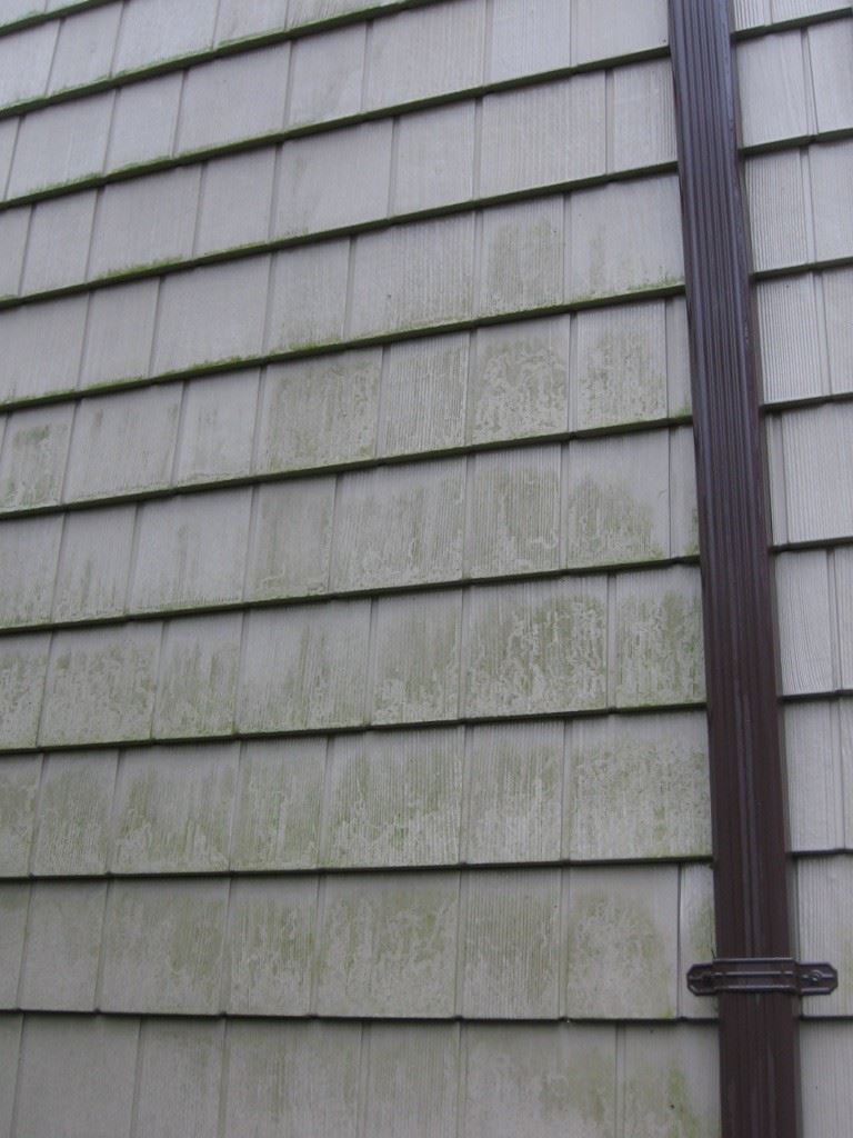 Vinyl siding mold and mildew : Before washing