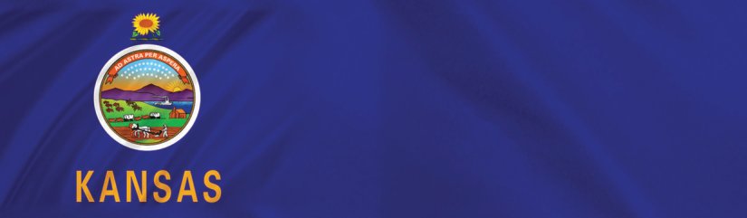 Kansas State Flag