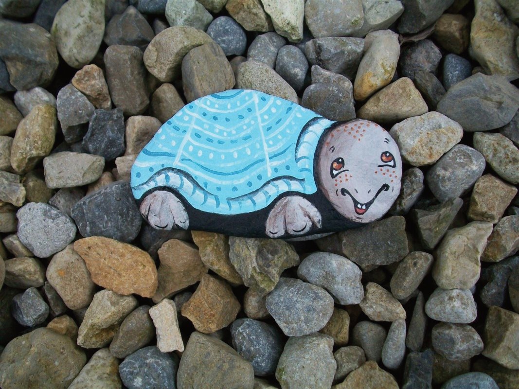 blue tortoise 