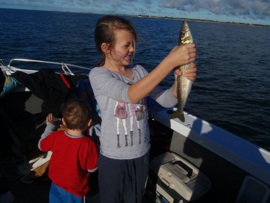 A solid King George whiting caught in SA waters using a 30 lb wind on leader