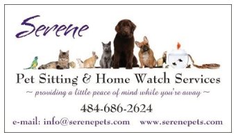 Chester County, PA pet sitting