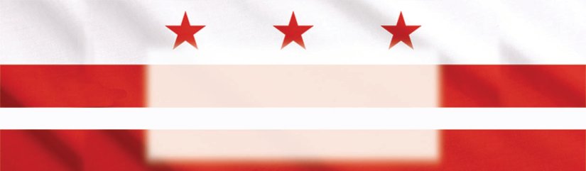 Washington DC State Flag