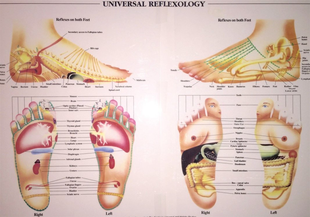Universal Method of Reflexology, Reflexology by Katie, Stonington CT