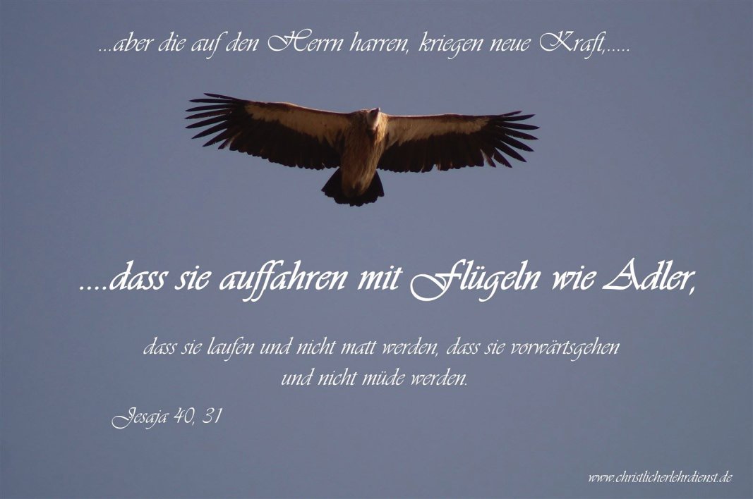 fliegen wie Adler, laufen ohne Ermüdung, möglich durch Gottes Gnade