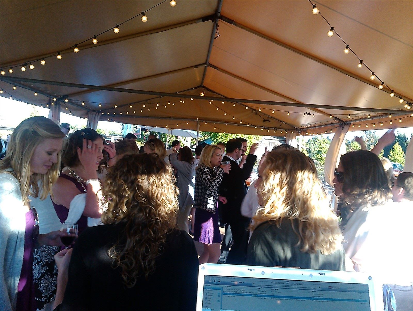 Sova Gardens Wedding - Runaway DJ and Events : Pull the rip cord, time to get this party started!!!!