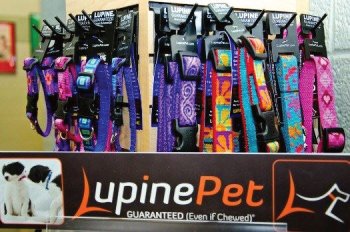 Lupine Collars & Leashes