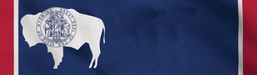 Wyoming State Flag