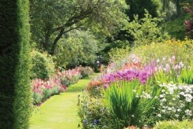 Jardin de plantes vivaces - IMMOVERT