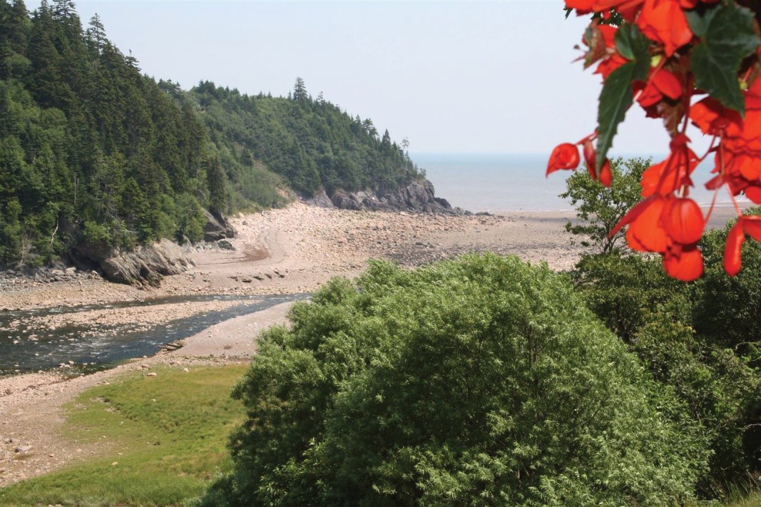 View of the Bay of Fundy from the Fundy Trail Interpretive Center