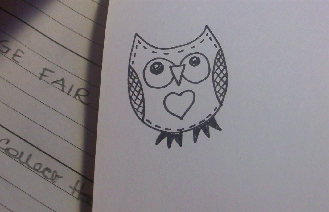 Owl sketch