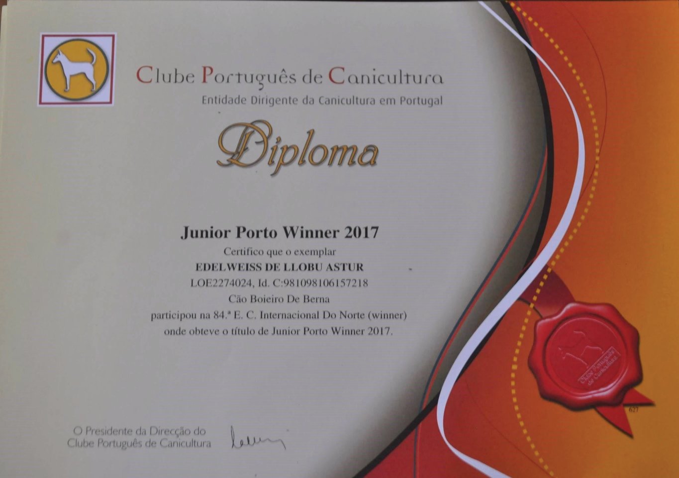 Edelweiss De Llobu Astur Junior Excelent 1 CCJ - Best Junior M . Junior Porto Winner 2017  Qualified for Crufts 2018