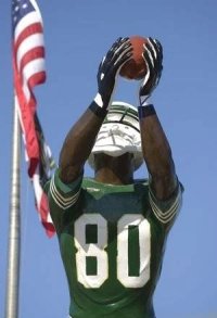 Donald Driver Statue Unveiling Street Naming Sonic MD Daniel Collins Green Bay