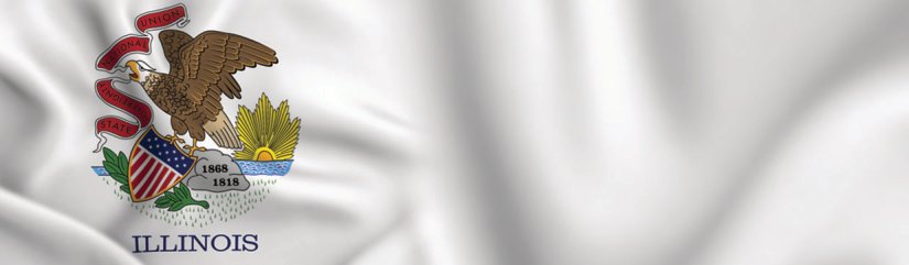 Illinois State Flag