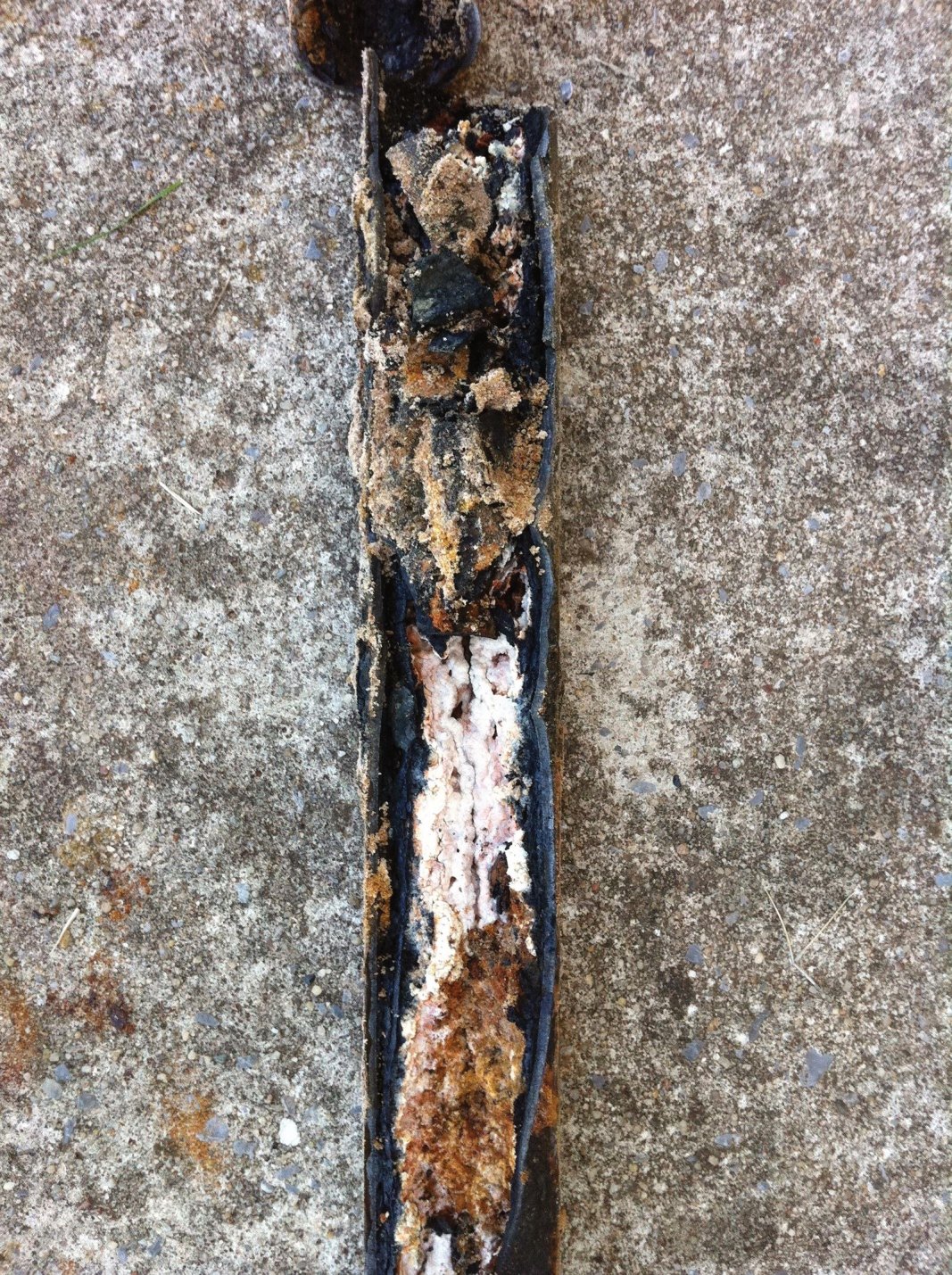 slab leak in a kitchen drain line, that is old food and grease!