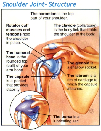 Common Shoulder Injuries In Weight Lifting