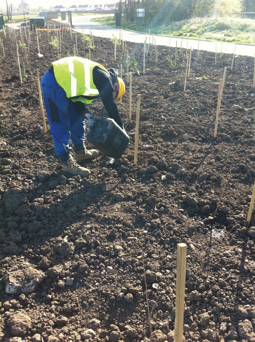 Tree and hedge planting for factory grounds and business parks in Edinburgh, Midlothian, East Lothian, Fife and the Scottish Borders regions