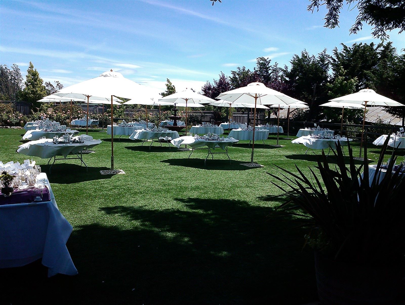 Sova Gardens Wedding - Runaway DJ and Events : Here's come the wind, but we were ready!