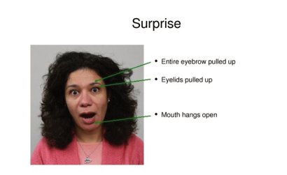 Humintell’s emotion recognition training features images of individuals portraying the 7 basic emotions: Anger, Contempt, Fear, Disgust, Happiness, Sadness and Surprise. 