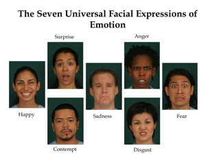 Humintell’s emotion recognition training features images of individuals portraying the 7 basic emotions: Anger, Contempt, Fear, Disgust, Happiness, Sadness and Surprise.