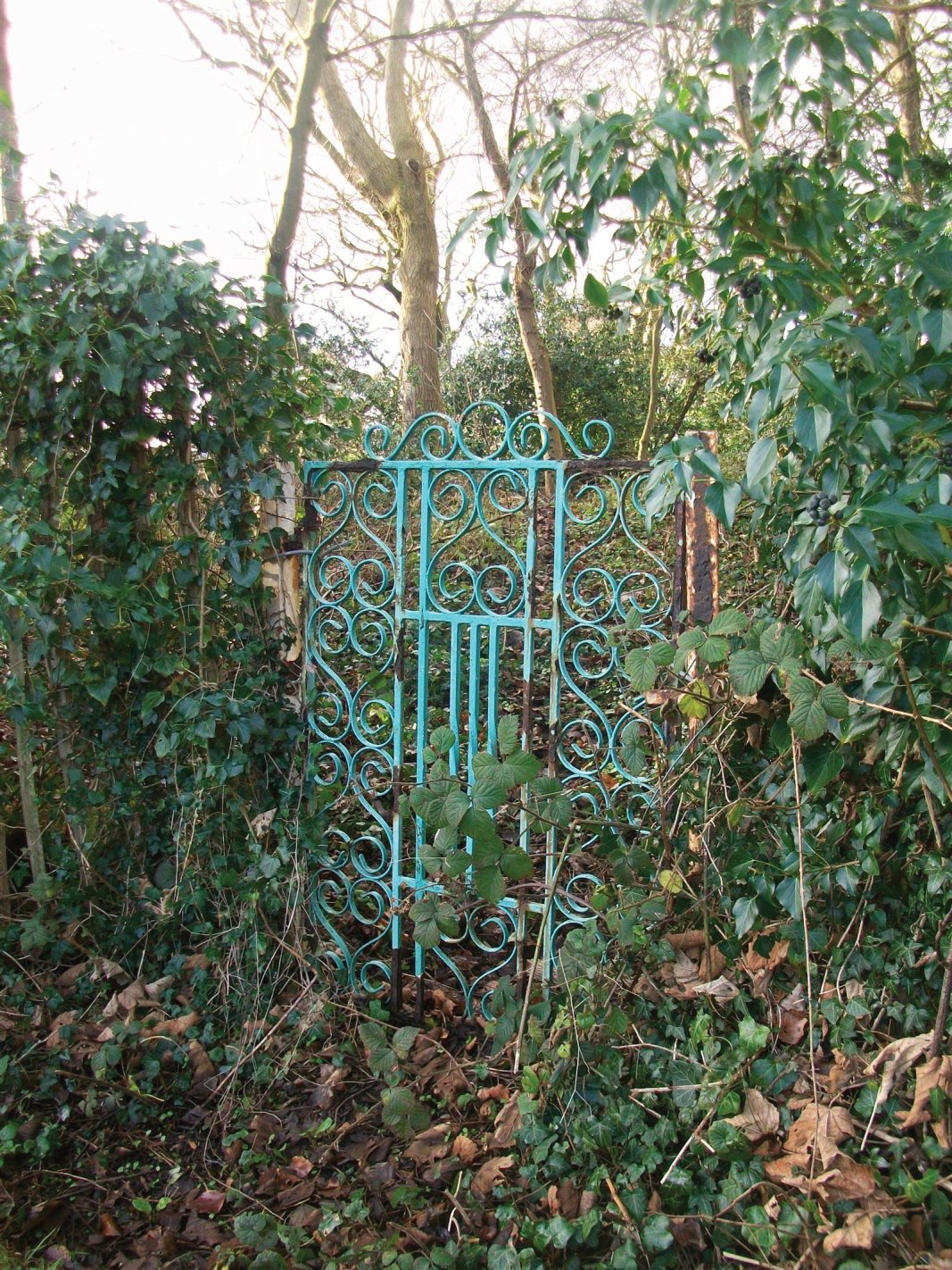 Forgotten gate