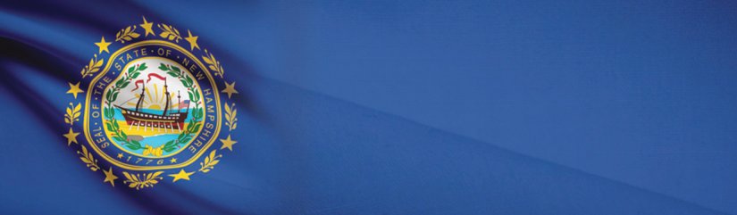 New Hampshire State Flag
