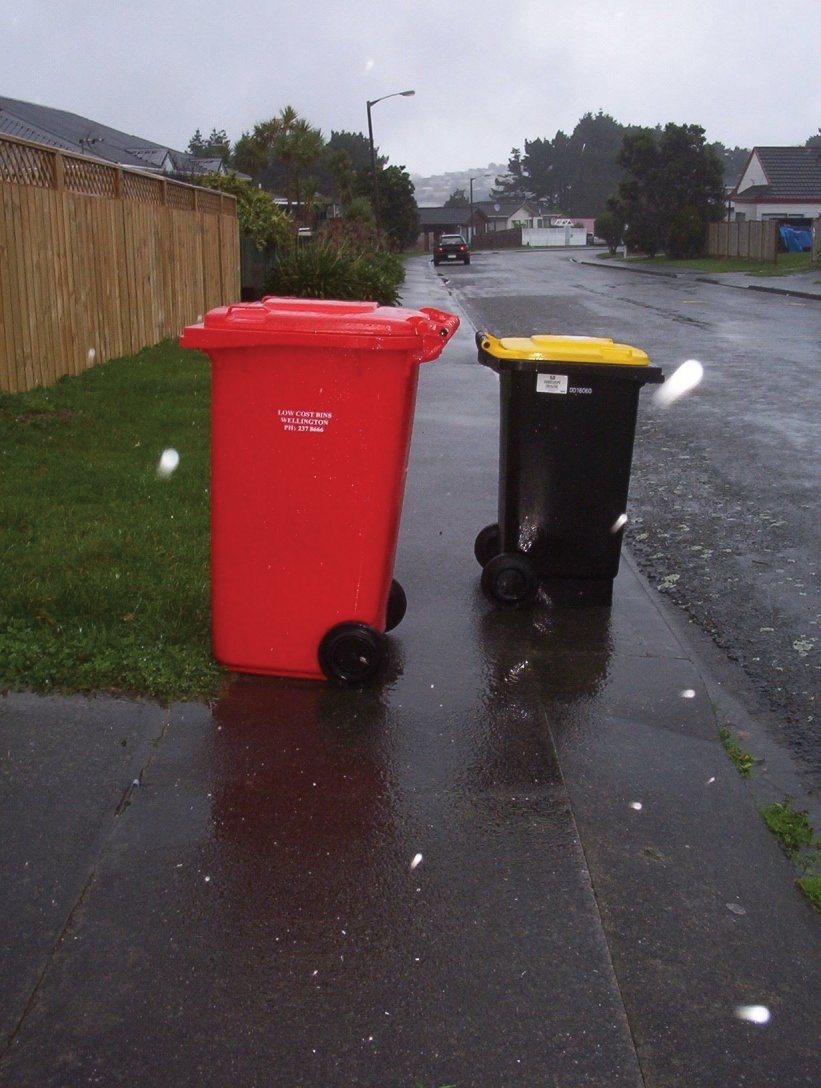 Pet Peeve when out Dog Walking in Newlands Johnsonville Grenada Village etc... Wheelie Bins blocking the footpath so the dogs and I can't pass without stepping onto the road or onto someones property. LooseLeash Dog Walking Sevice Newlands Johnsonville