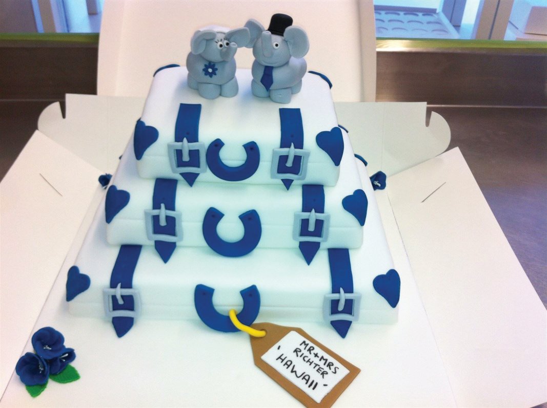 elephant luggage wedding cake