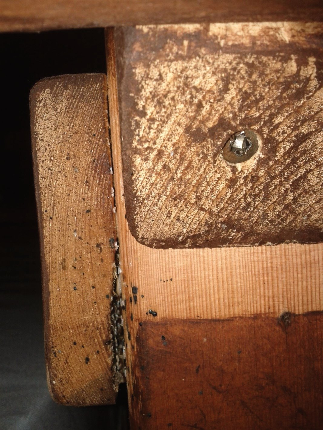 The white spots are Bed Bug eggs in the crevice between the pieces of wood on the bed frame. The dark spots are called Spotting which is Bed Bug excrement.