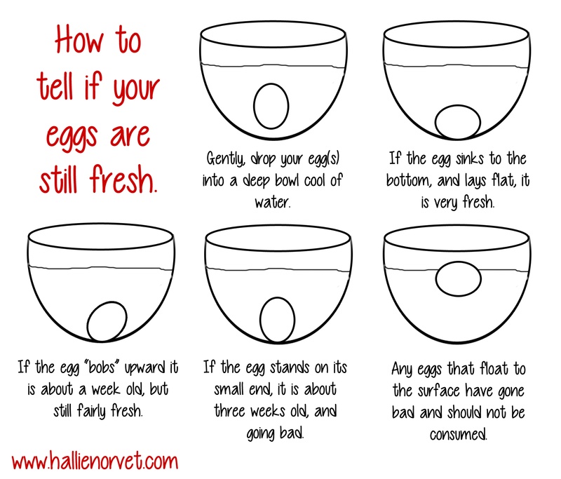 How to see if eggs are still good