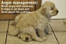  A new skill for Anger Management!