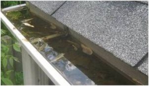This clogged gutter filled with water, left un-addressed, will eventually cause back up into the home interior and produce leaks.  The foundation of the home will be in jeopardy as well, as running water will overflow in the clogged areas and disturb the foundation.