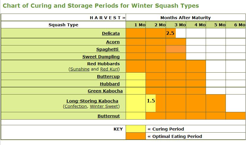 Garden planning (how long squash can be stored)