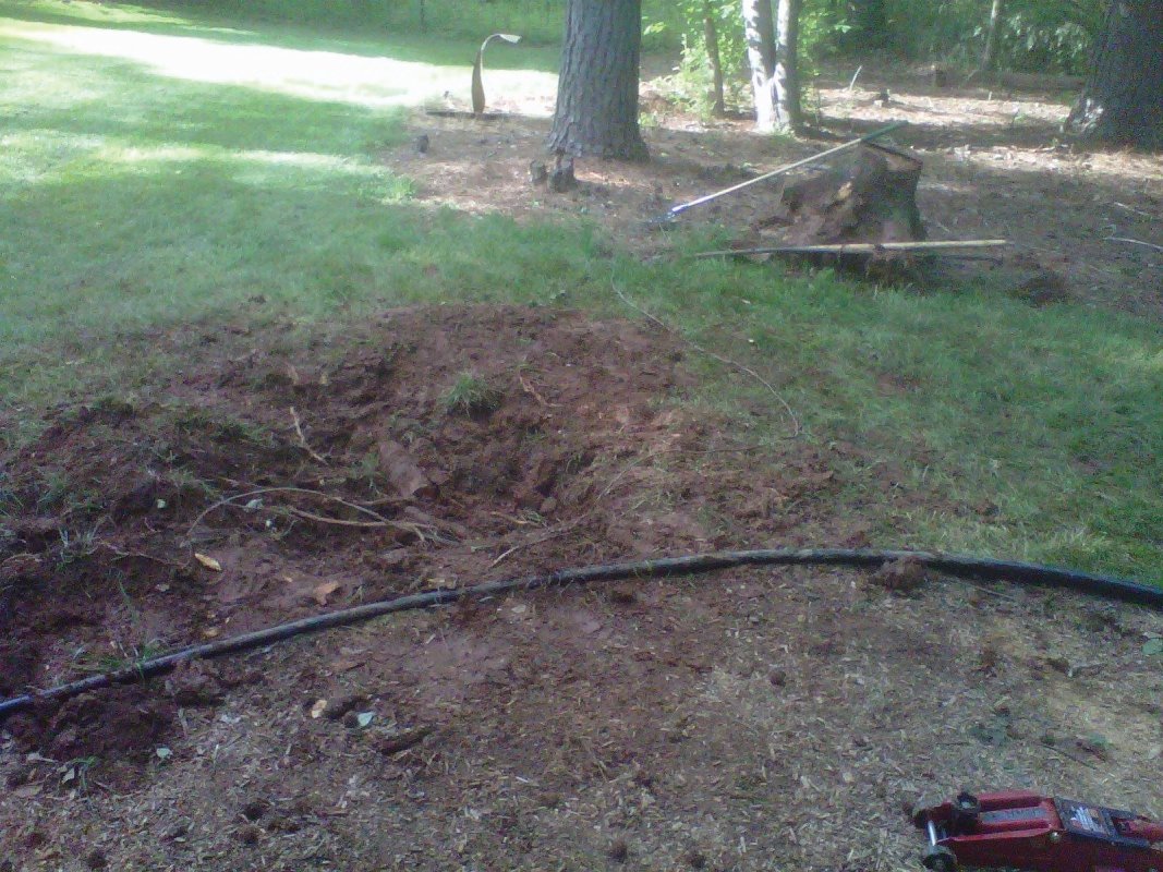 Tree Services from Handyman at itsmyhelper.com - Roswell