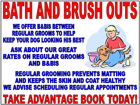 Bath and Brush out ideal for inbetween full grooms