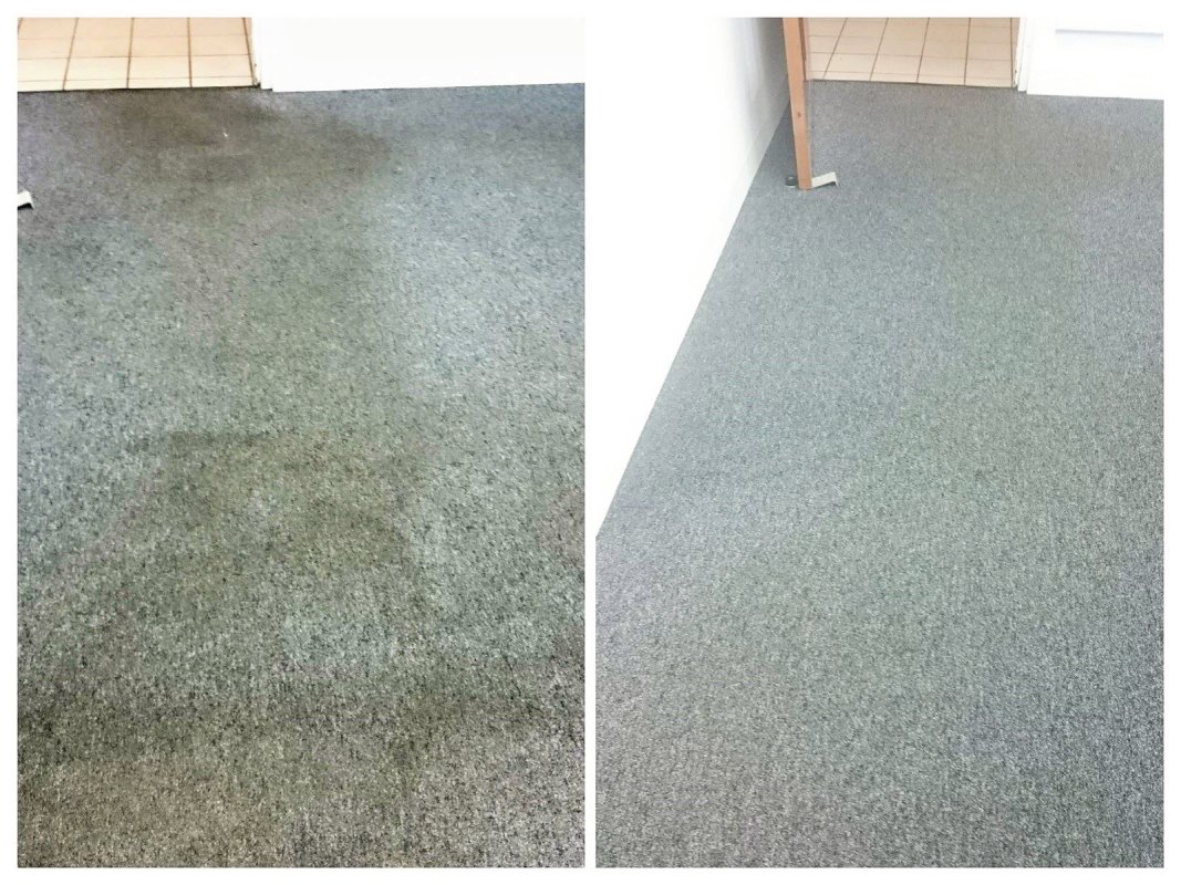 Ipswich carpet cleaning 