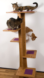 Catasticats.com a Nifty Feline Products Site!