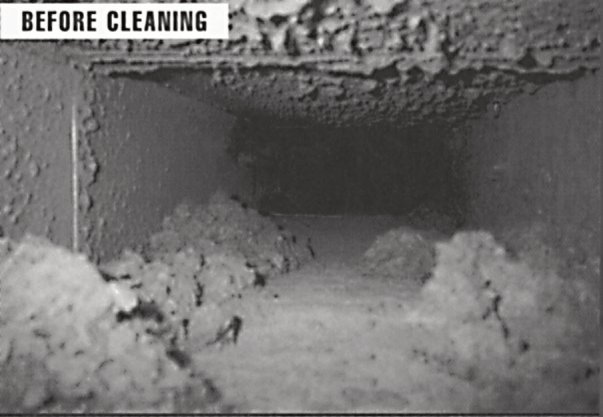germs live in air ducts and dust contains allergens and dust mites