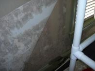 Mold Inspection VA, MD and DC  : Mold Aid Will Find Mold And Solve The Problem. Here is mold behind wall paper 