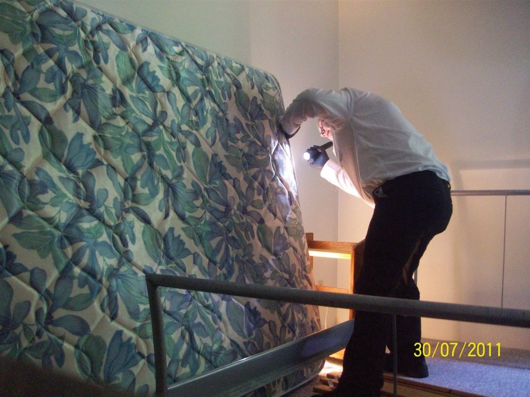 A careful inspection of the mattress and other furniture in the unit
